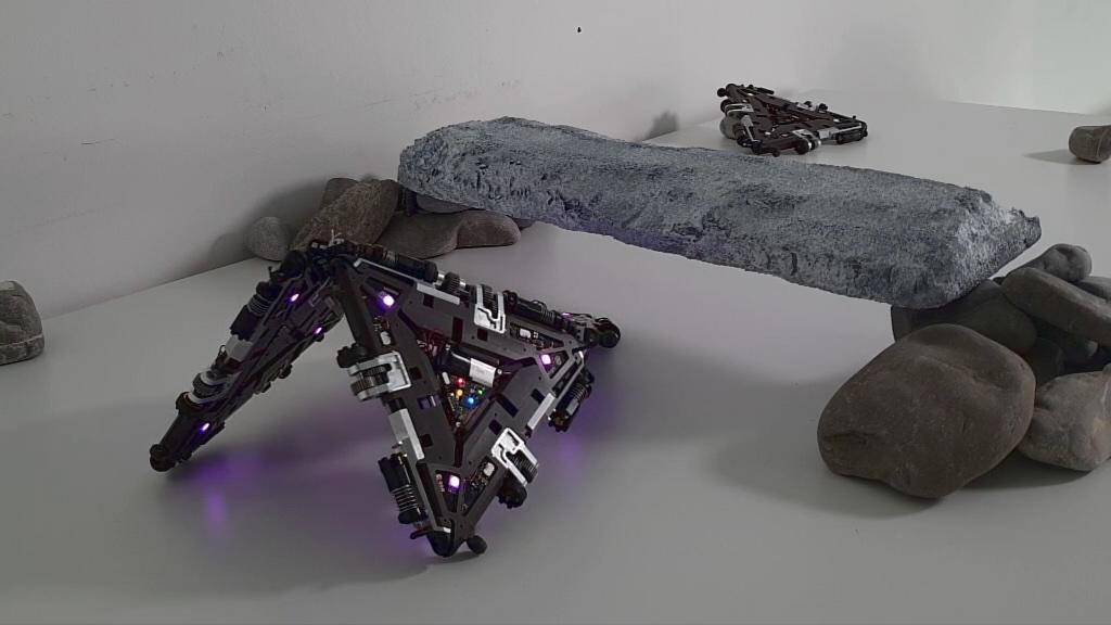 EPFL odpornost robotov 2